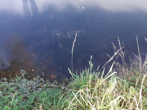 Rubbish/Recycling, a report photo
