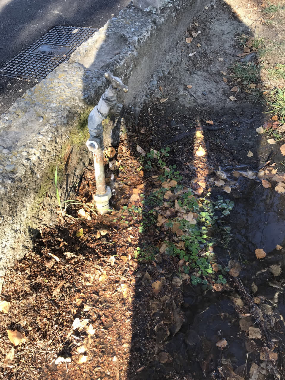 The photograph attached to this parks report