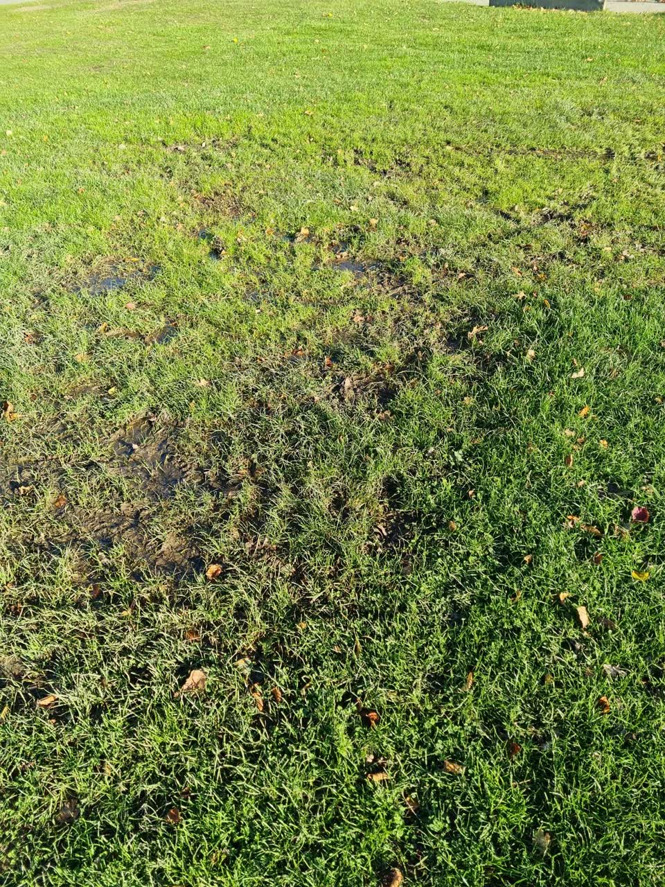 The photograph attached to this parks report
