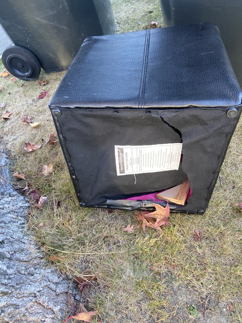The photograph attached to this rubbish/recycling report