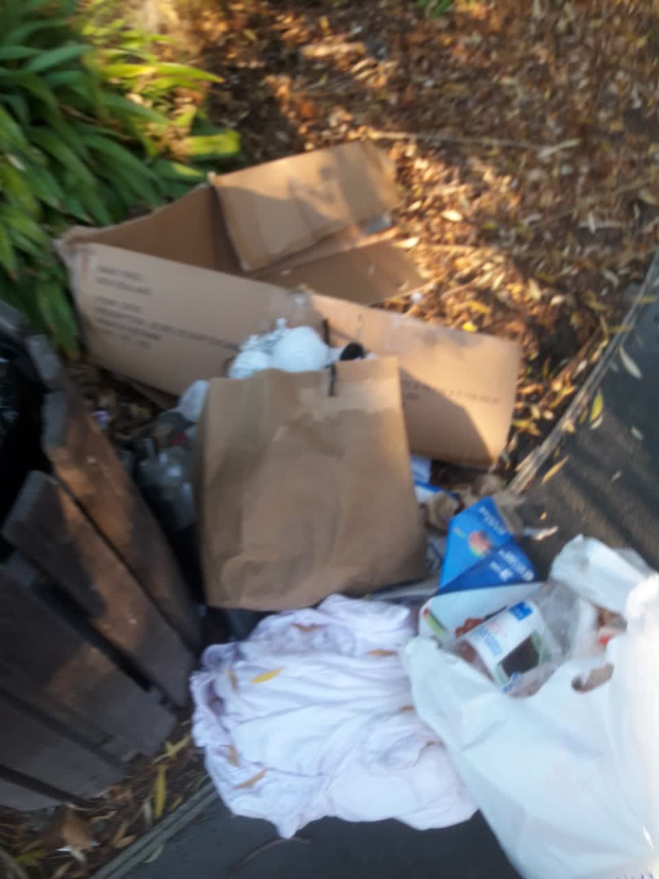 The photograph attached to this parks report