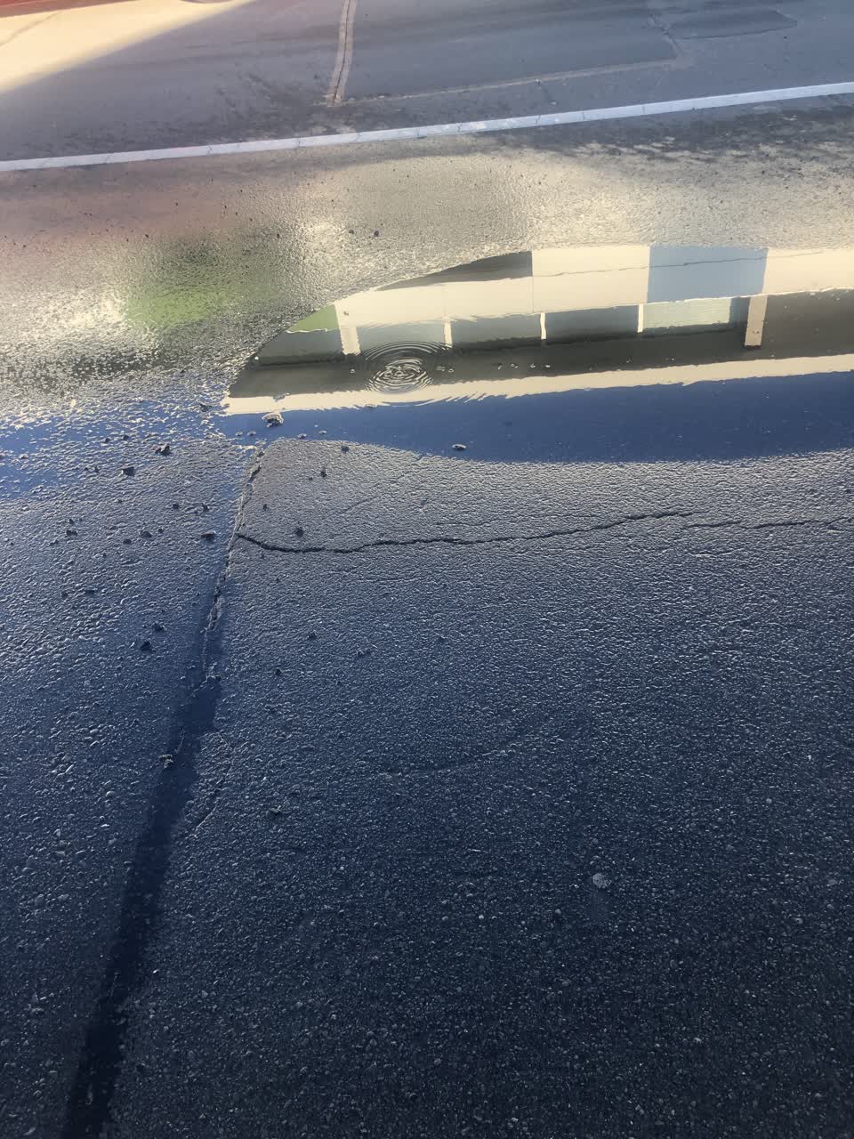 The photograph attached to this water leak report