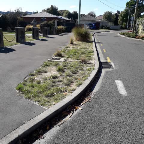 Parks, a report photo