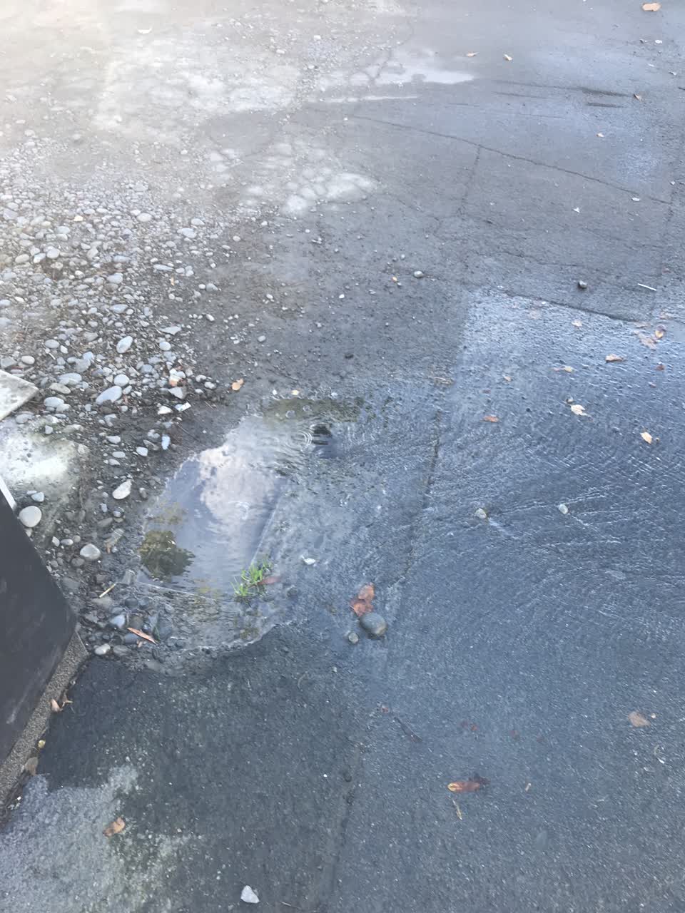 The photograph attached to this water leak report