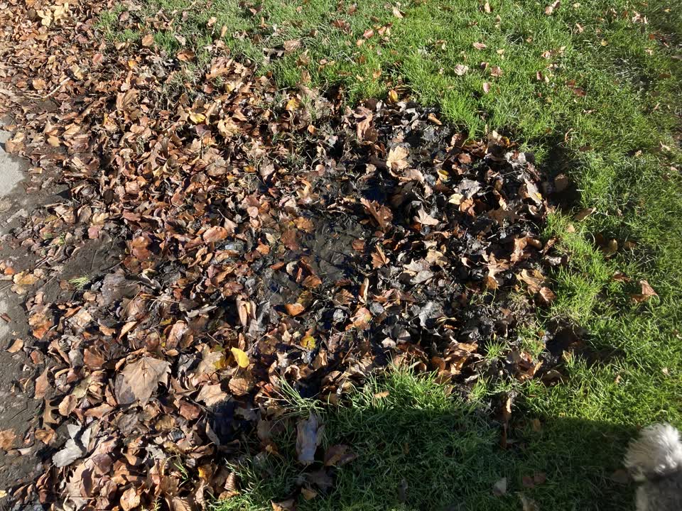 The photograph attached to this water leak report