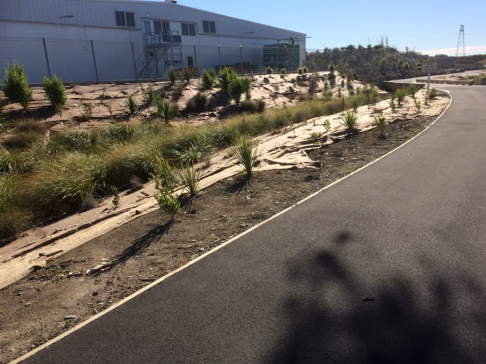 The photograph attached to this parks report