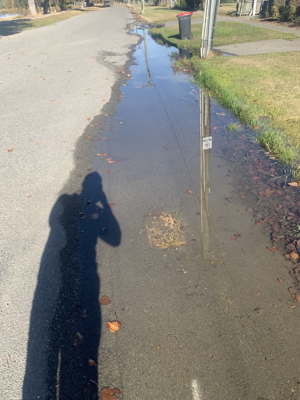 The photograph attached to this roading/streets report
