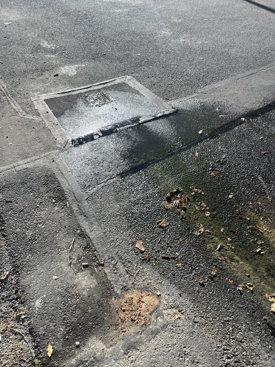The photograph attached to this water leak report