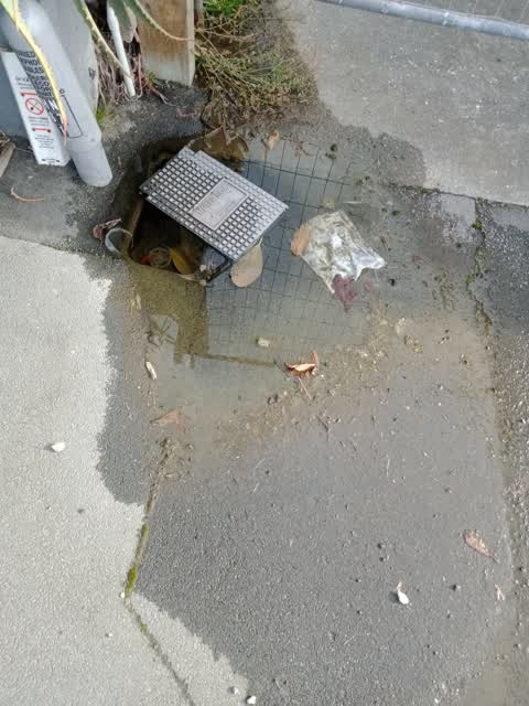 Water Leak, a report photo