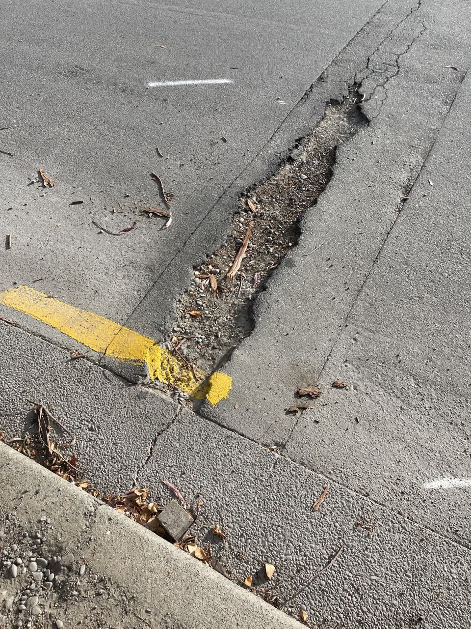 The photograph attached to this roading/streets report