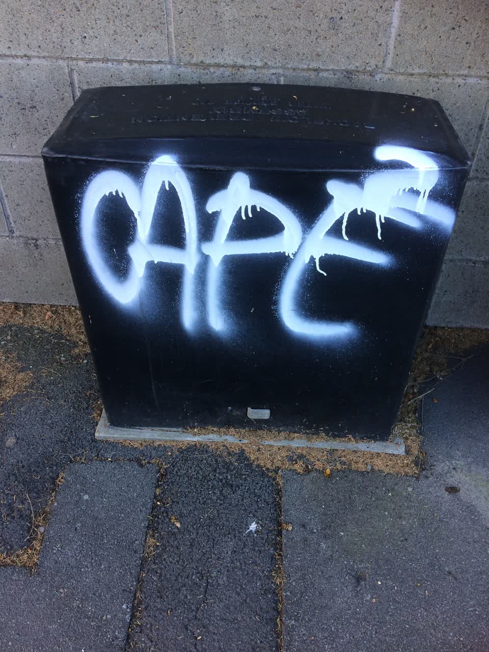 The photograph attached to this graffiti report