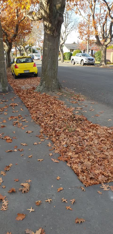 Roading/Streets, a report photo
