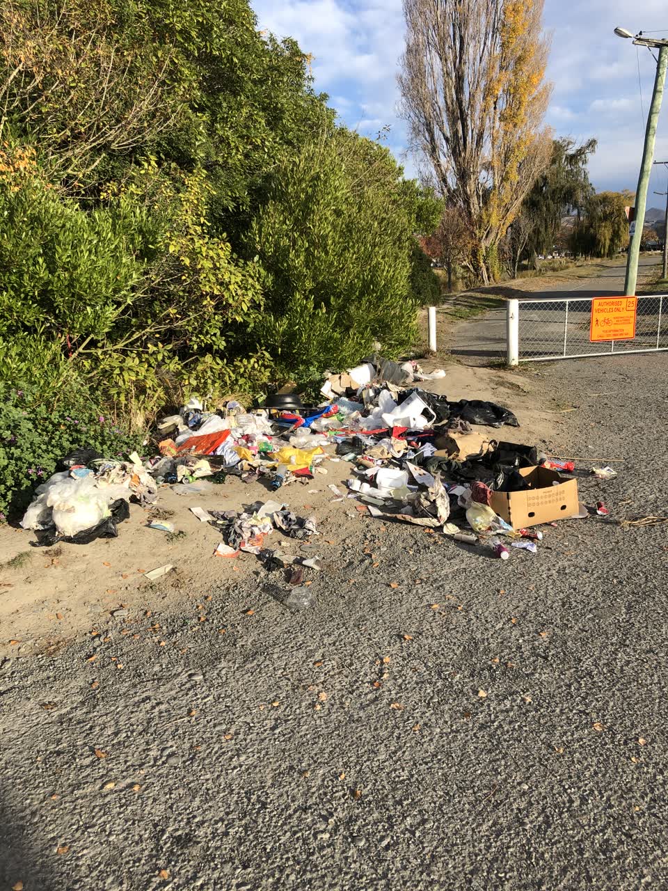 The photograph attached to this rubbish/recycling report
