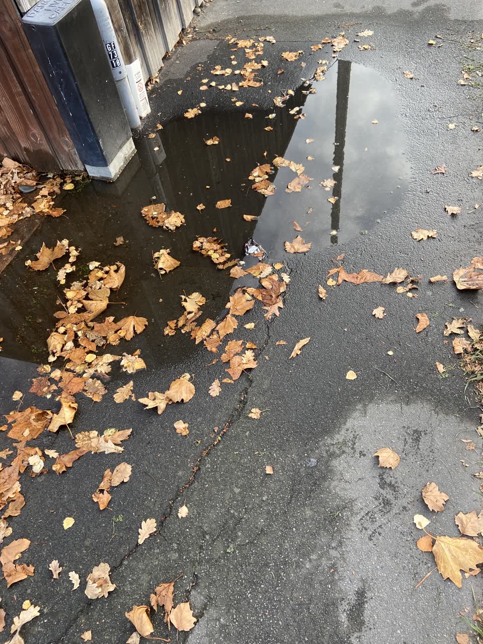 The photograph attached to this water leak report