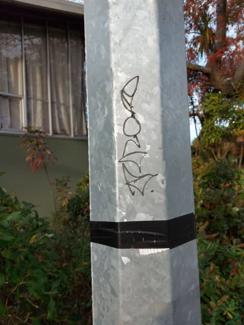 Graffiti, a report photo