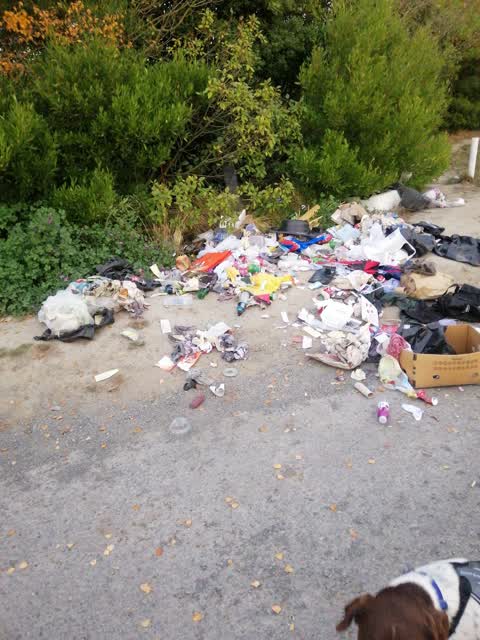 Rubbish/Recycling — a report photo