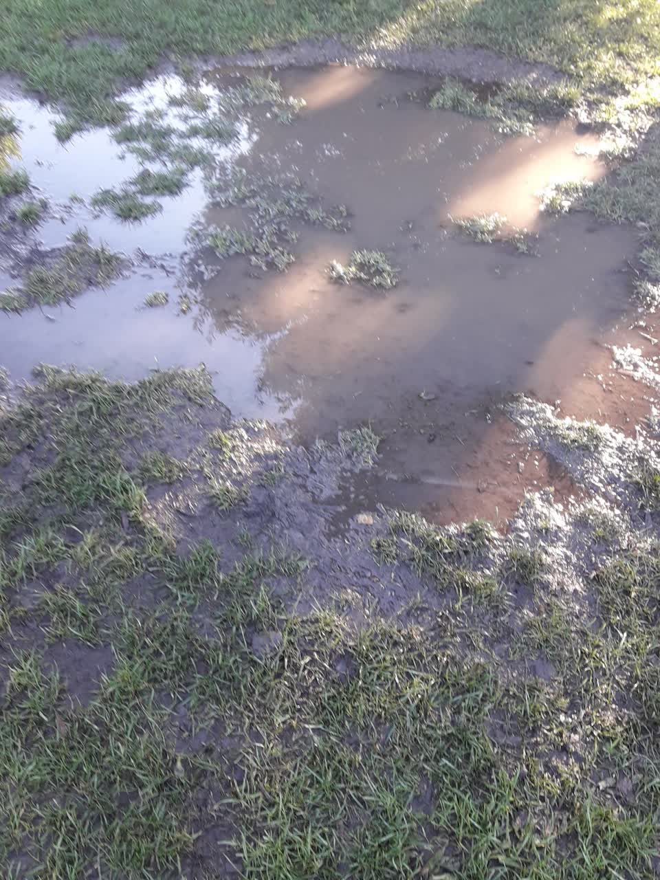 The photograph attached to this flooding report