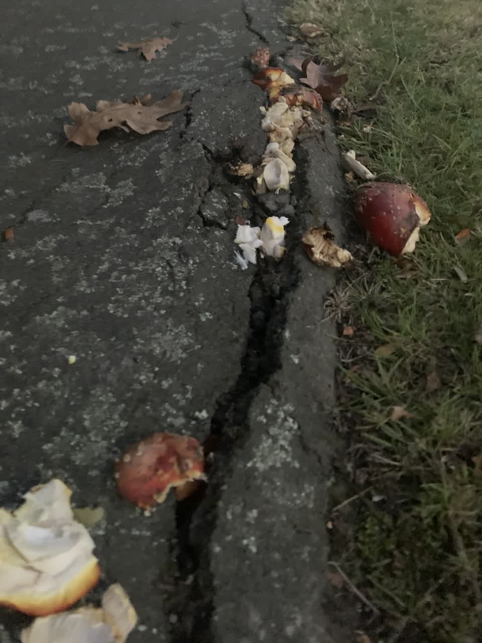 The photograph attached to this roading/streets report