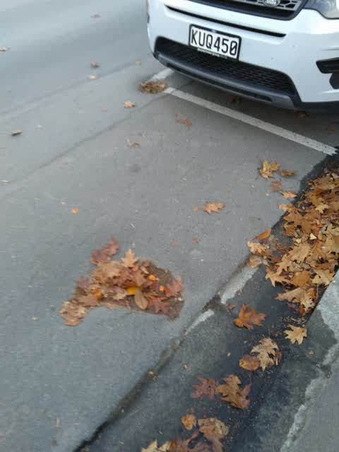 Roading/Streets, a report photo