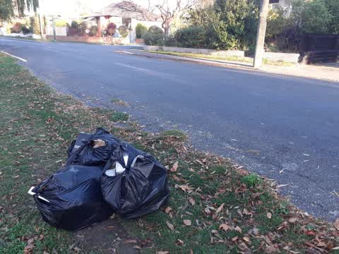 Rubbish/Recycling, a report photo