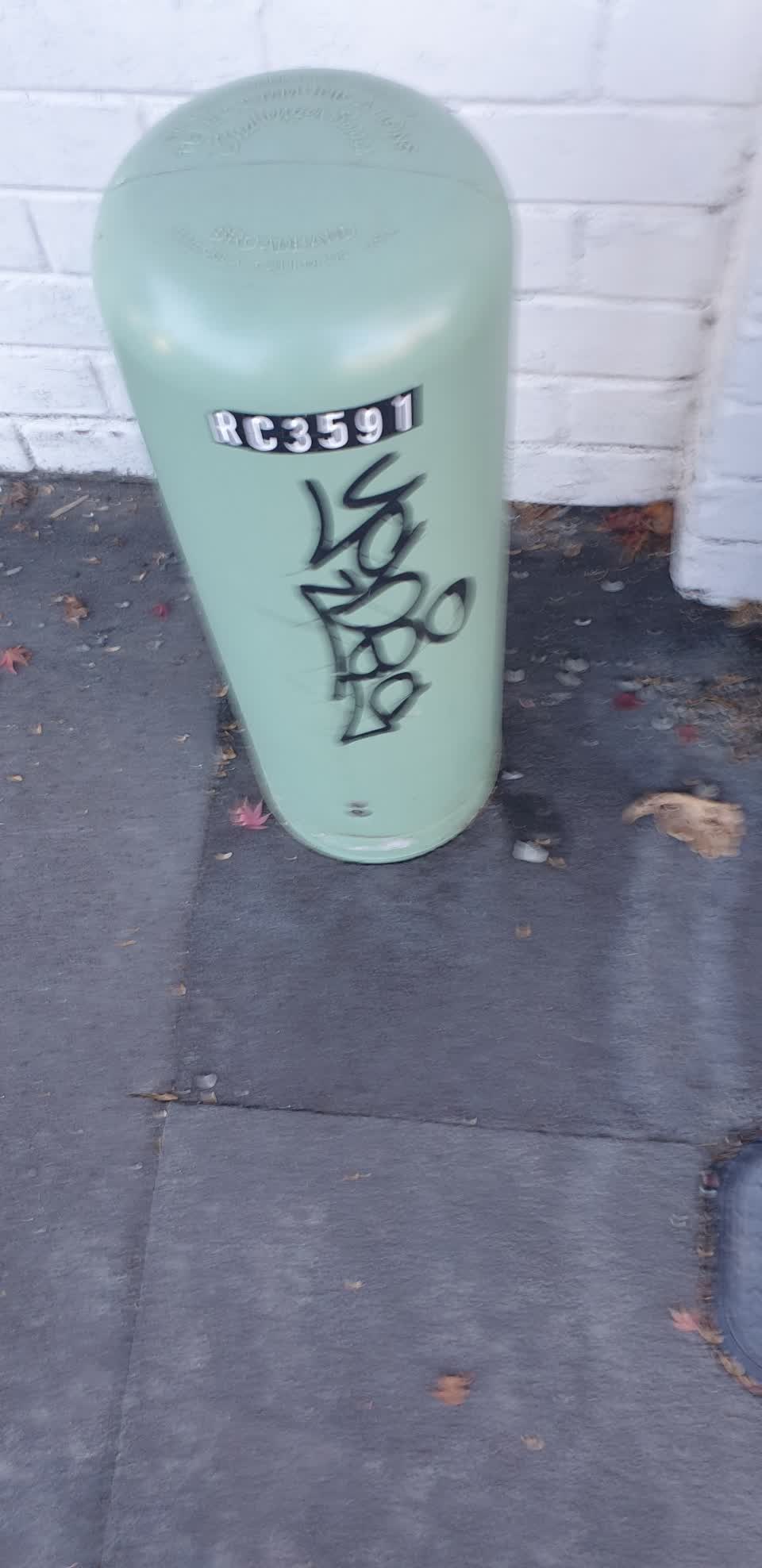 The photograph attached to this graffiti report