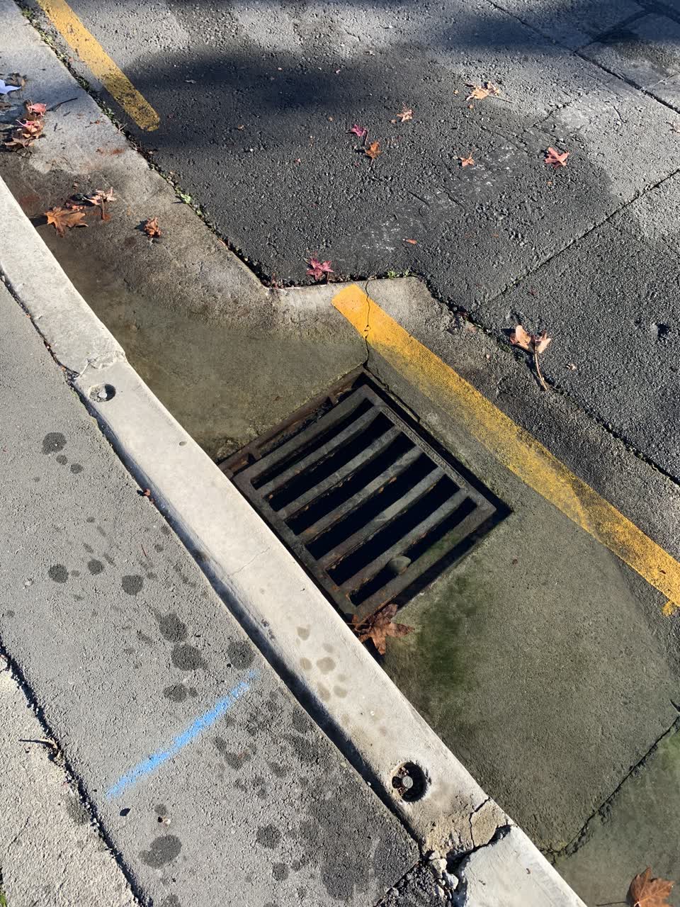 The photograph attached to this wastewater/stormwater report