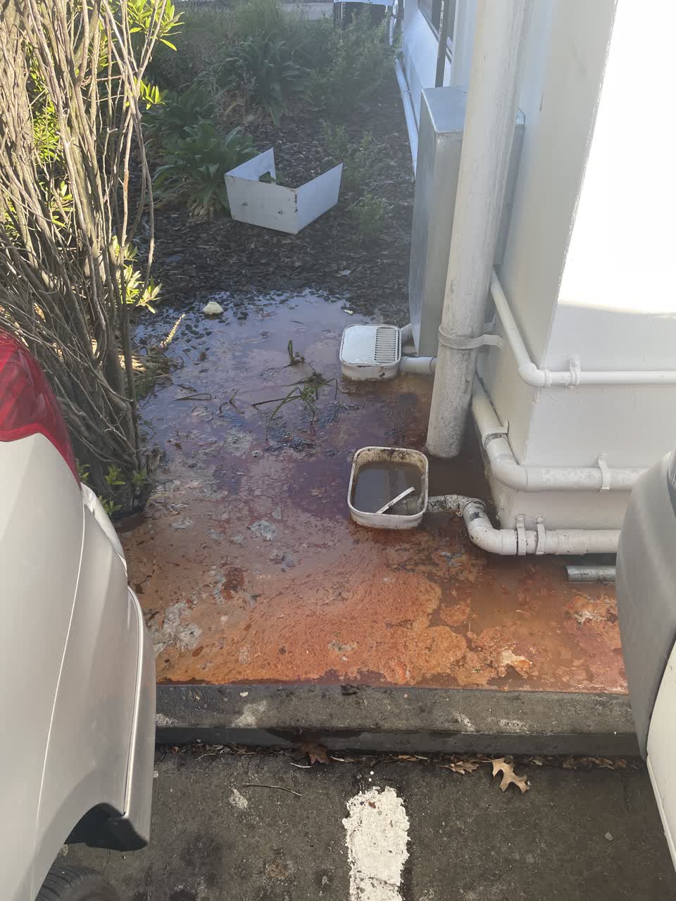The photograph attached to this sewer - leak / blockage report