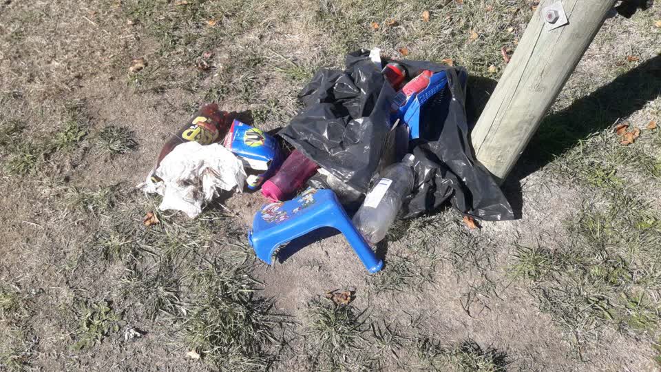 The photograph attached to this parks report