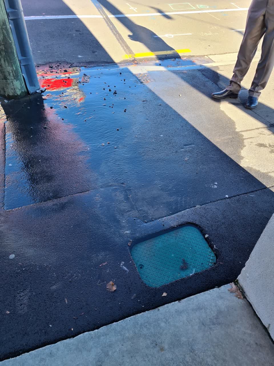 The photograph attached to this water leak report