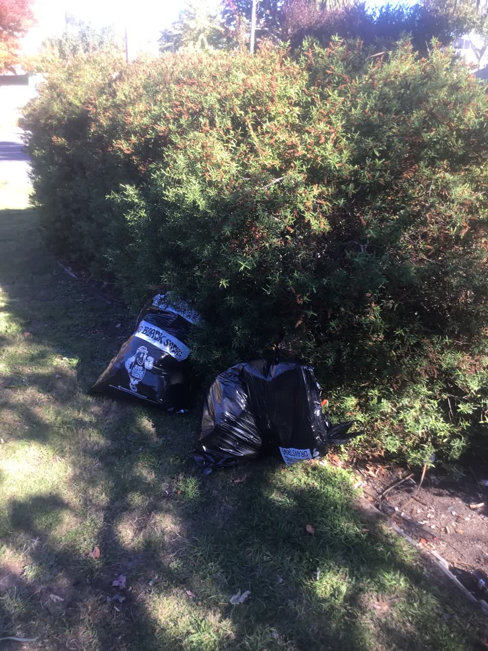 The photograph attached to this rubbish/recycling report