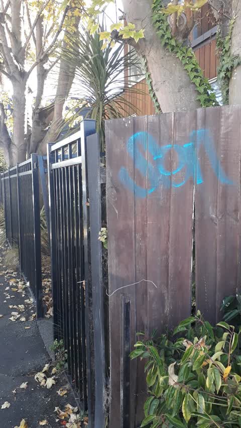 Graffiti, a report photo