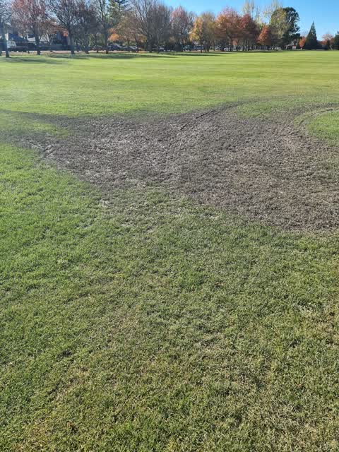 Parks, a report photo