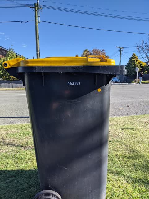 Rubbish/Recycling — a report photo
