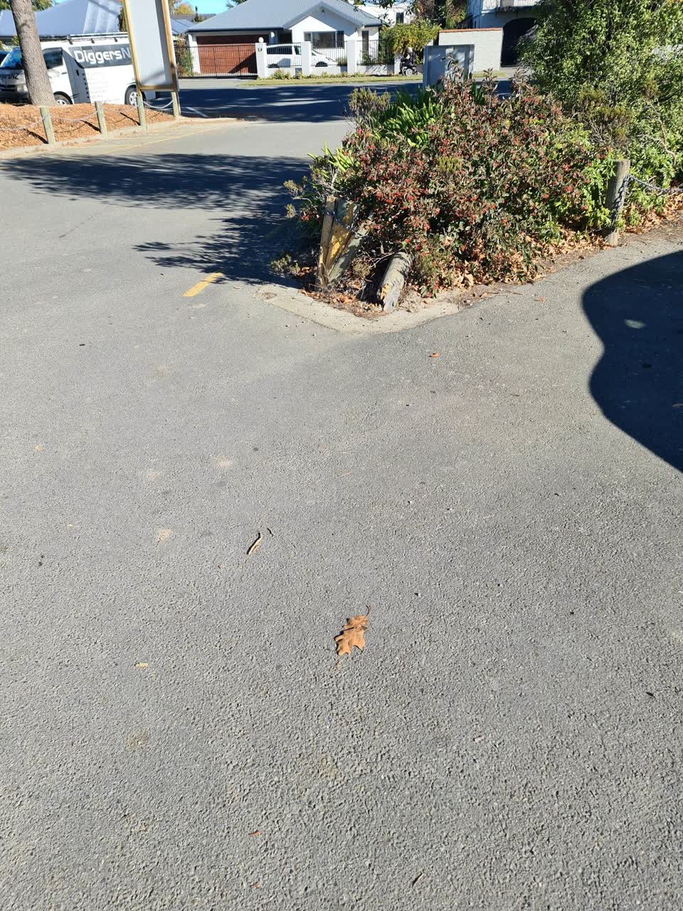 The photograph attached to this parks report