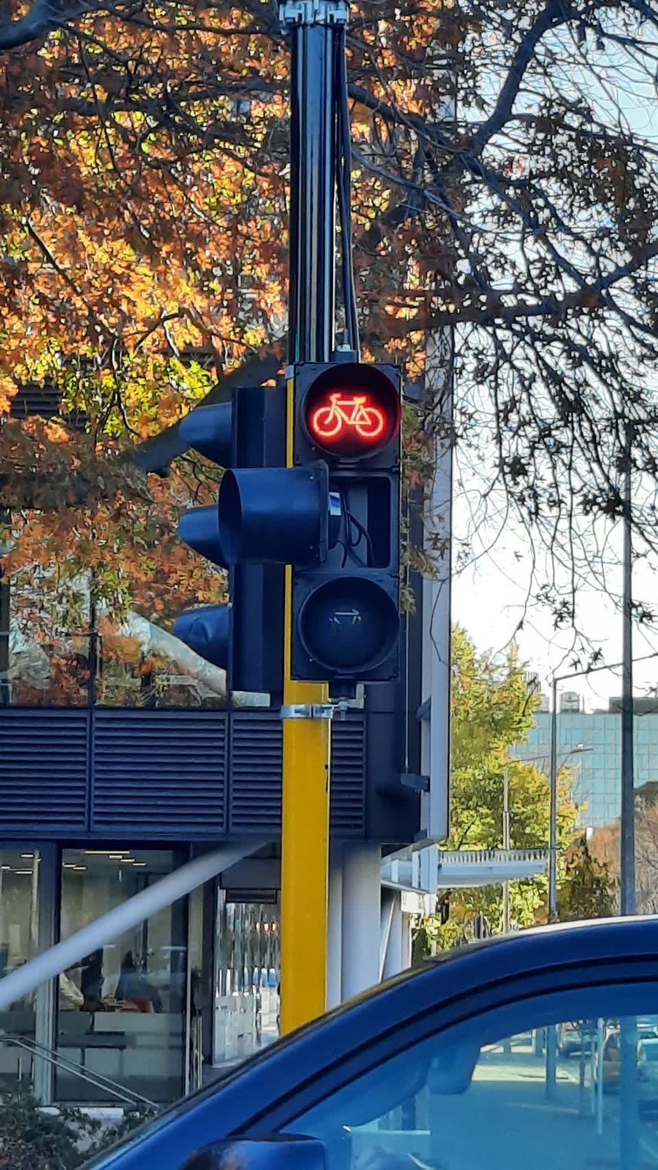 The photograph attached to this street light outage report