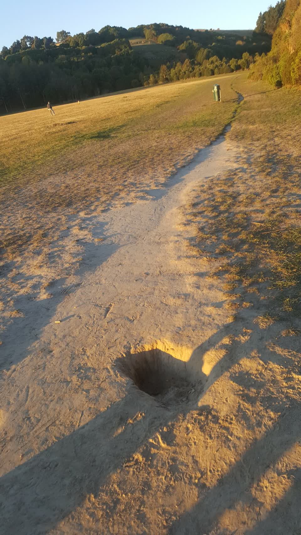 The photograph attached to this parks report