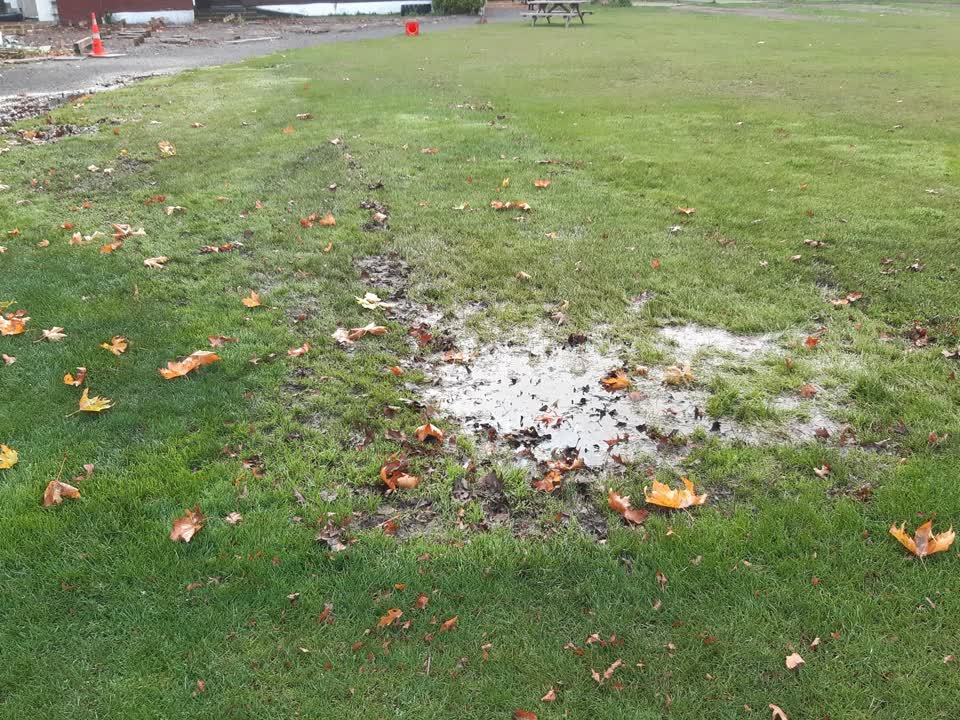 The photograph attached to this parks report