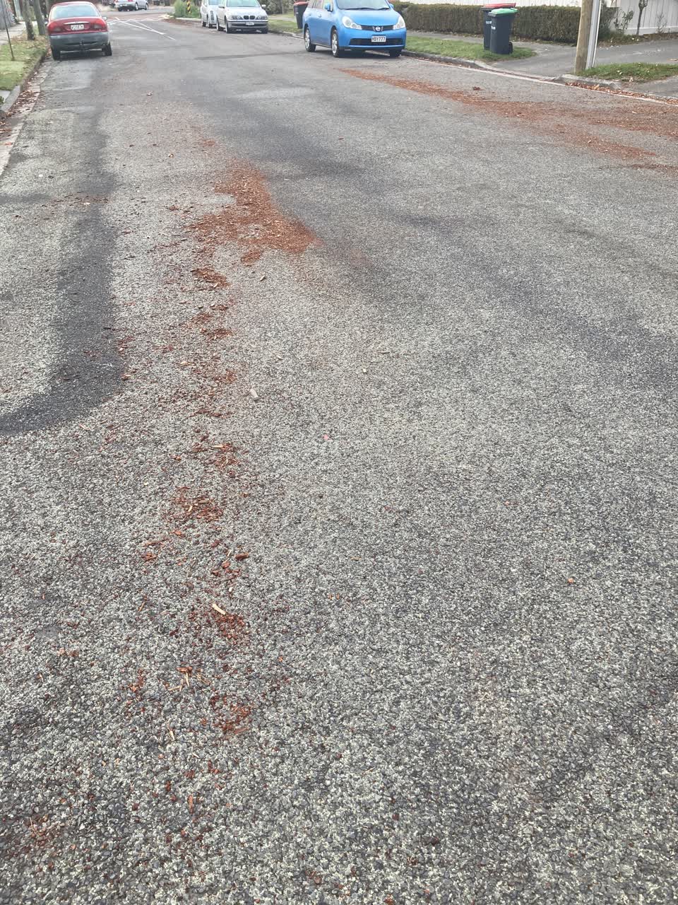 The photograph attached to this roading/streets report