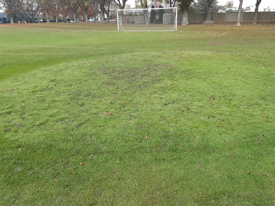 The photograph attached to this parks report