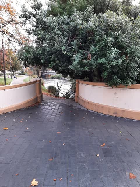 Roading/Streets, a report photo