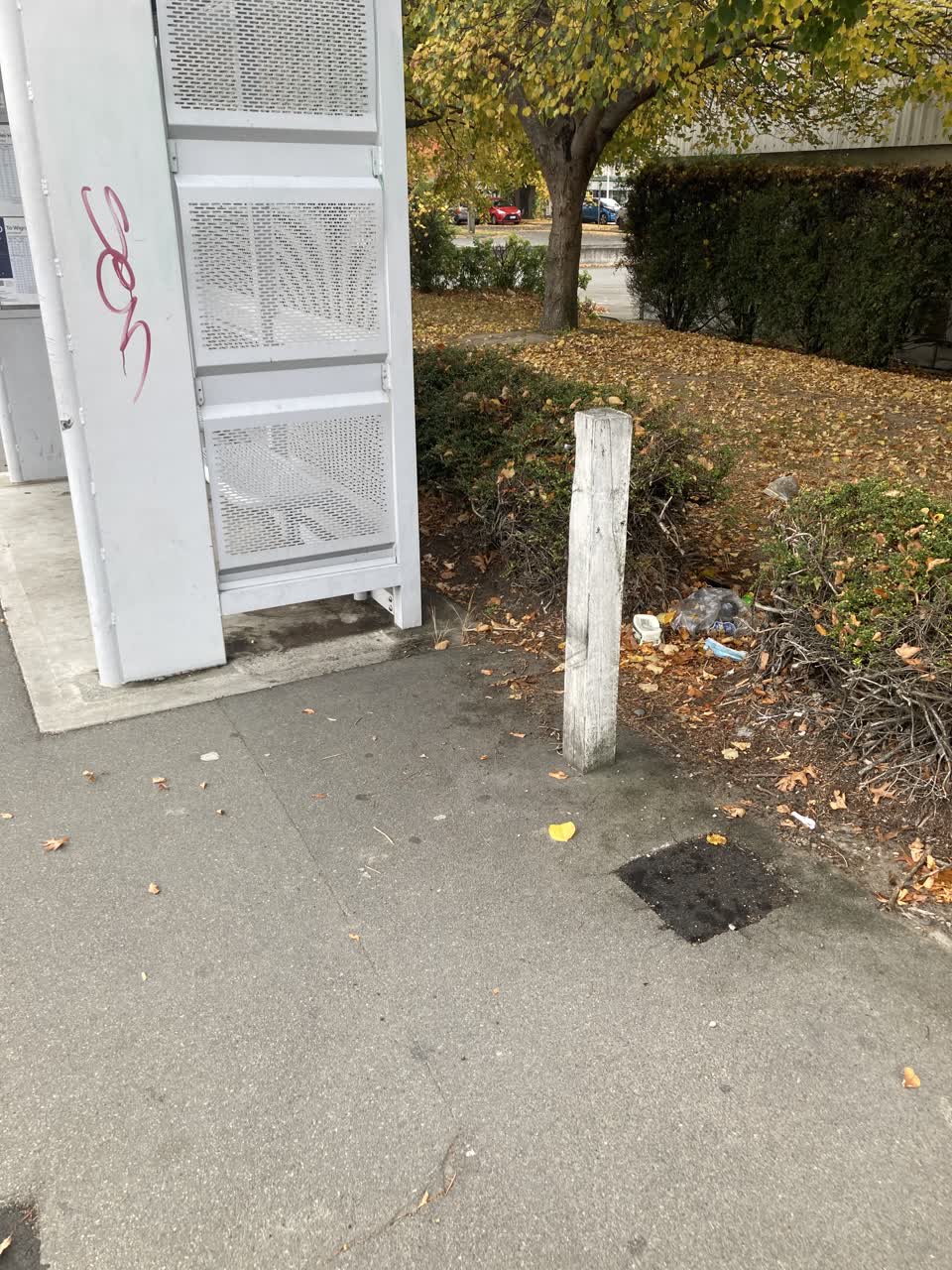 The photograph attached to this rubbish/recycling report