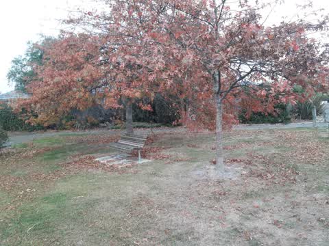 Parks, a report photo