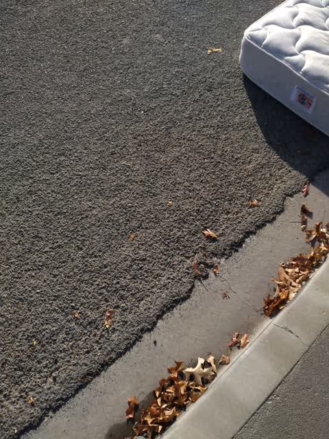 Rubbish/Recycling, a report photo
