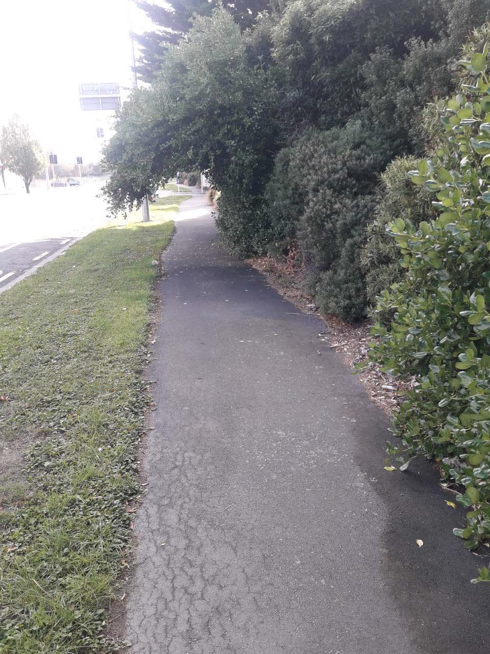 The photograph attached to this parks report