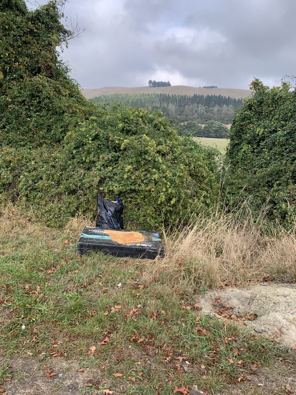 The photograph attached to this rubbish/recycling report