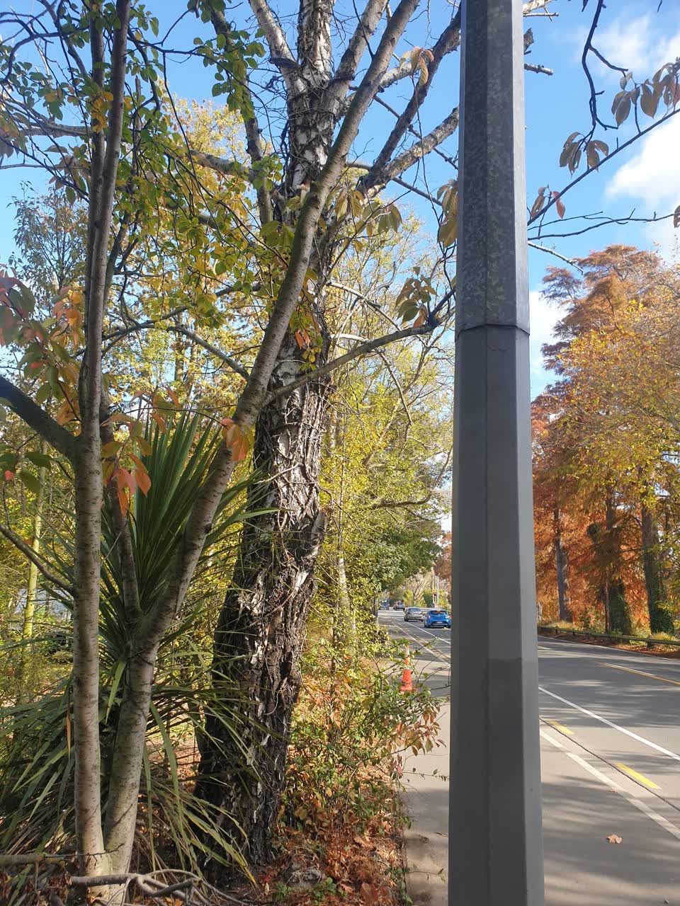 The photograph attached to this parks report