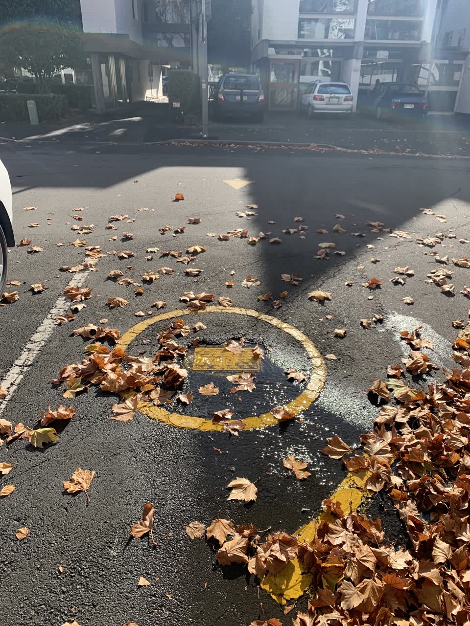 The photograph attached to this water leak report