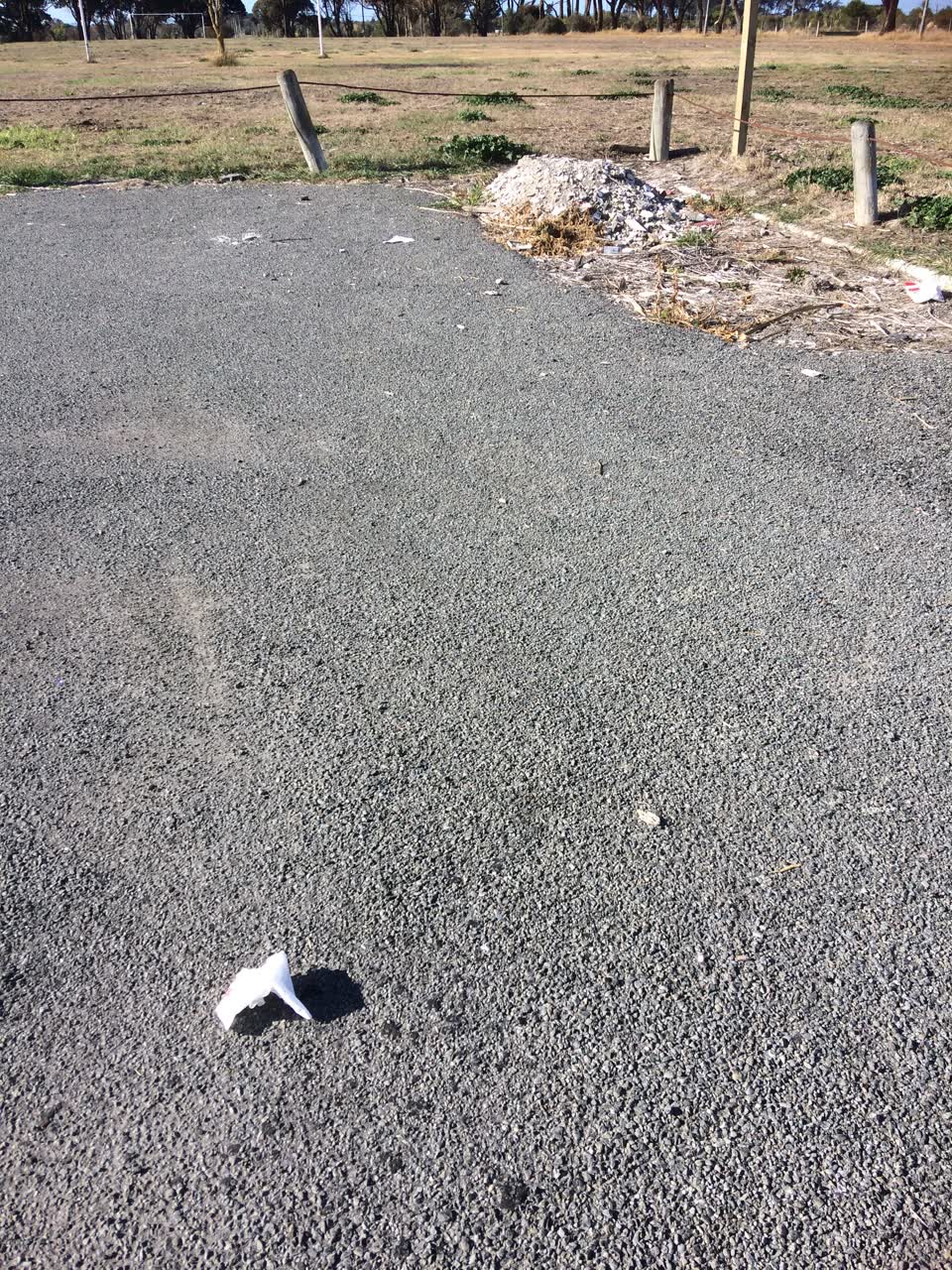 The photograph attached to this parks report