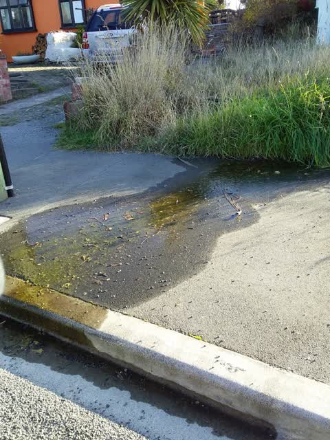 Water Leak, a report photo