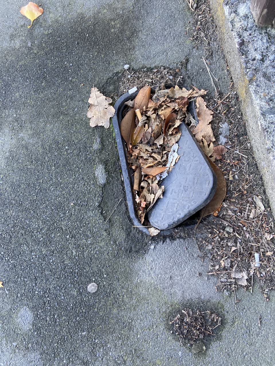 The photograph attached to this roading/streets report